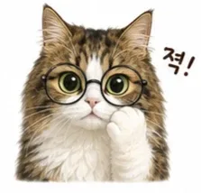 깡도리바보