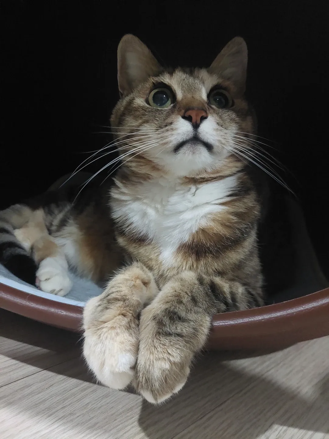 은채