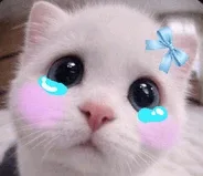 리릴리