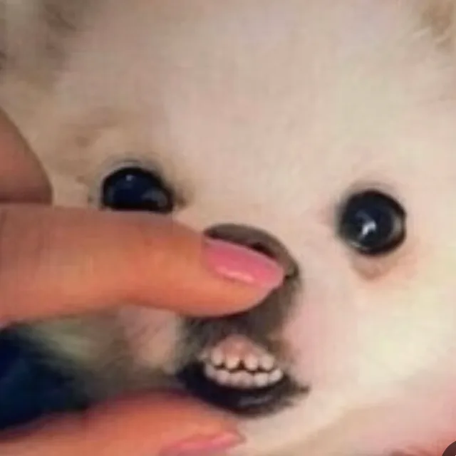 둘둘이