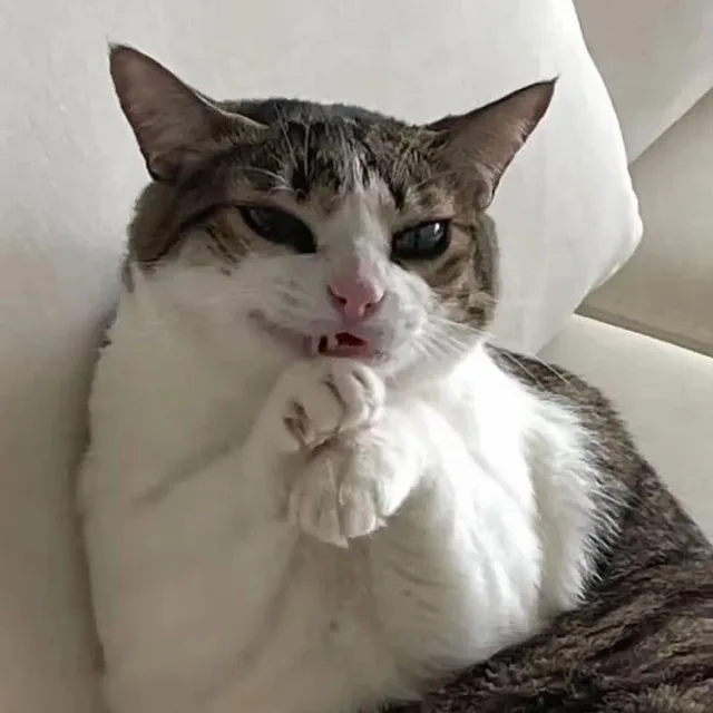 북극냥