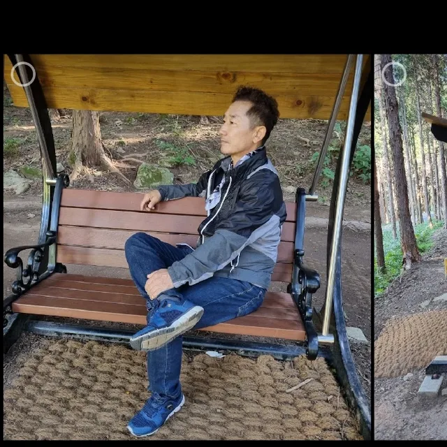 동해갈매기