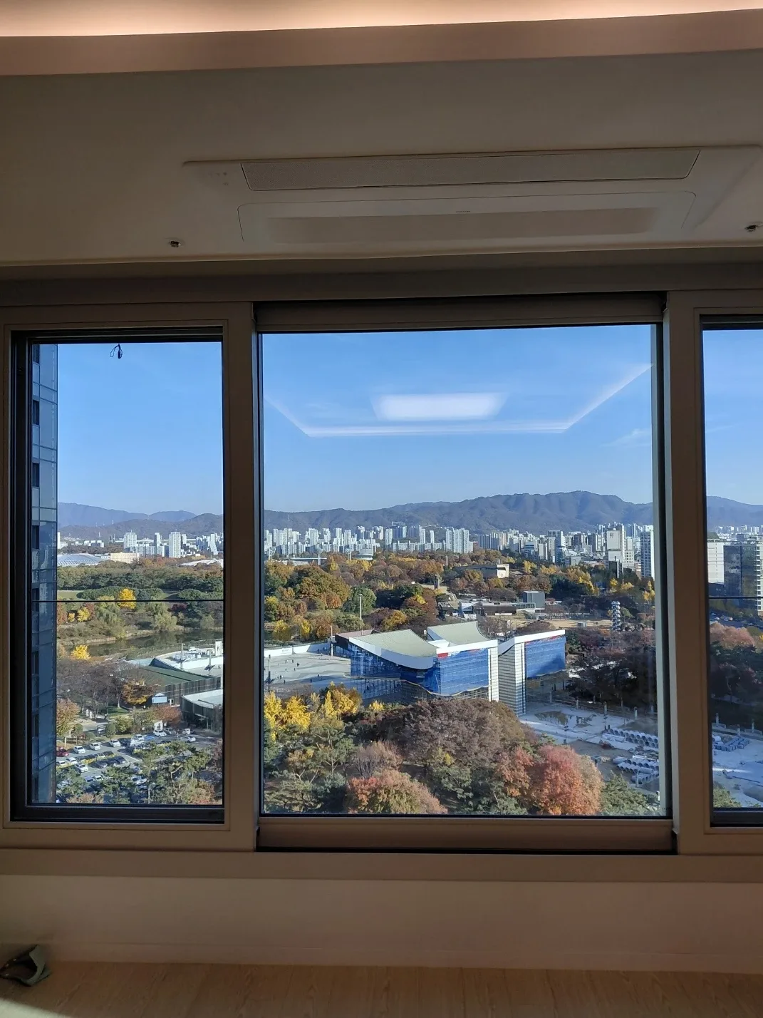 함박이