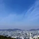나무슈