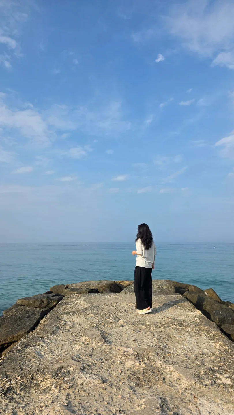 쭈브로