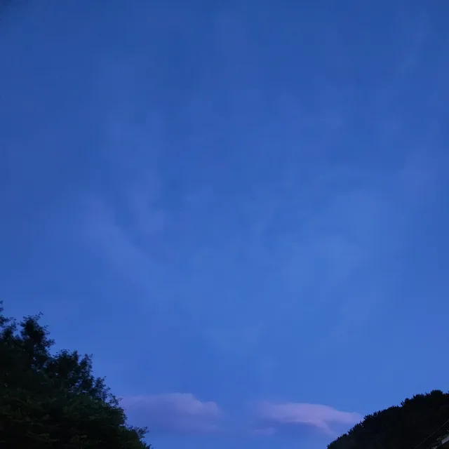 달달