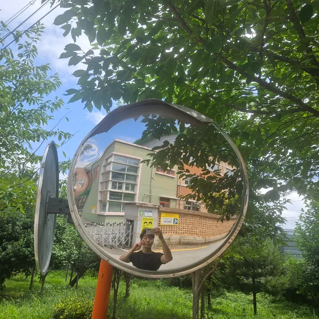 진돌