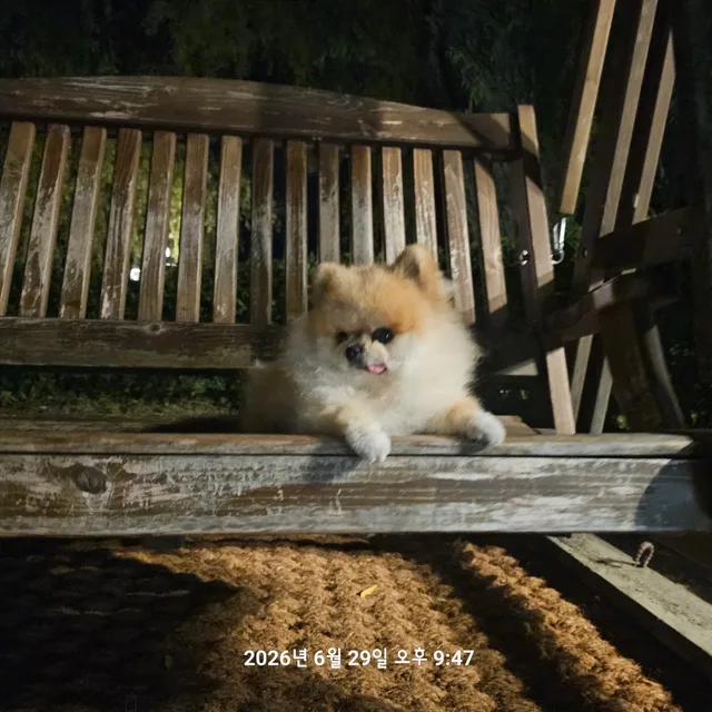 시얀