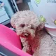 나쫌해