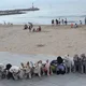 스마일