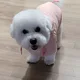 효자동사람