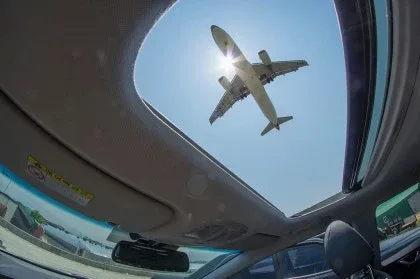 호두호두