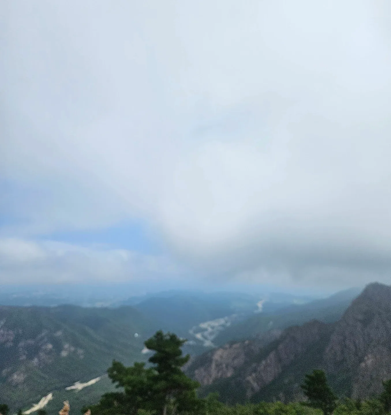 초록패밀리