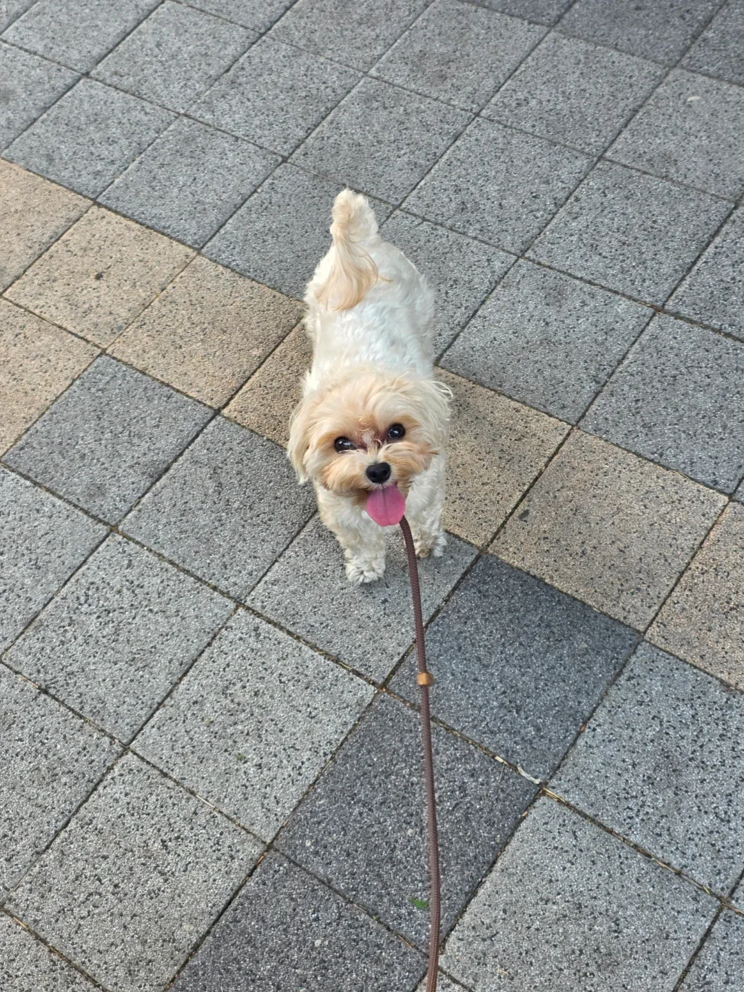 누네띠네