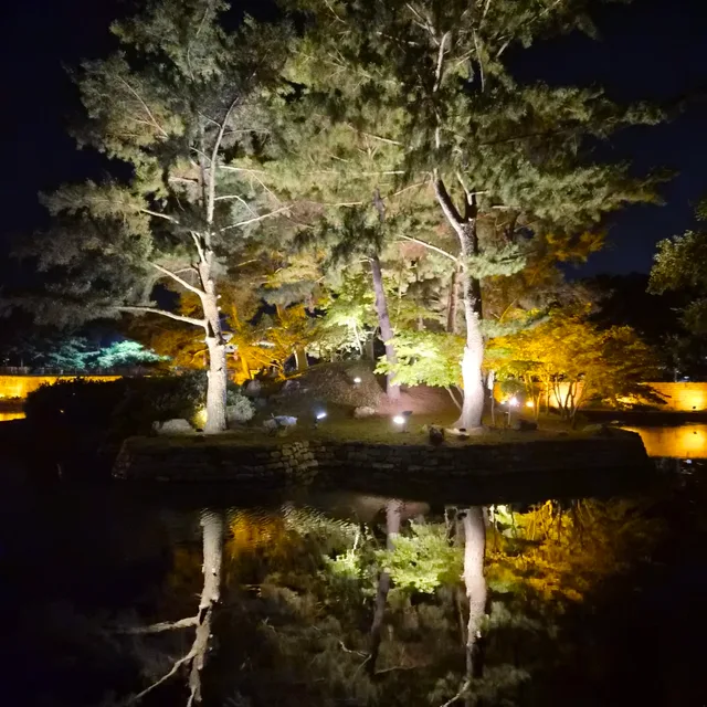 마테