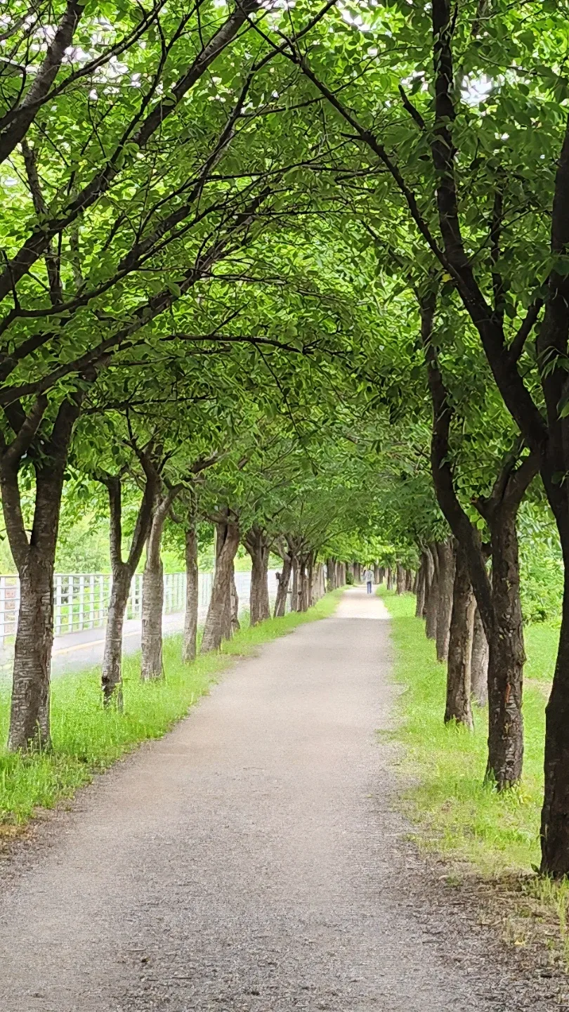산책길