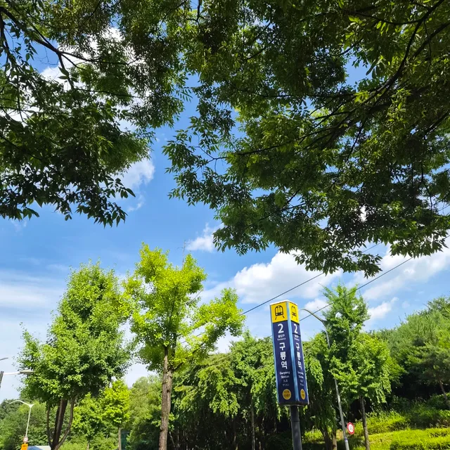 여름더위가라