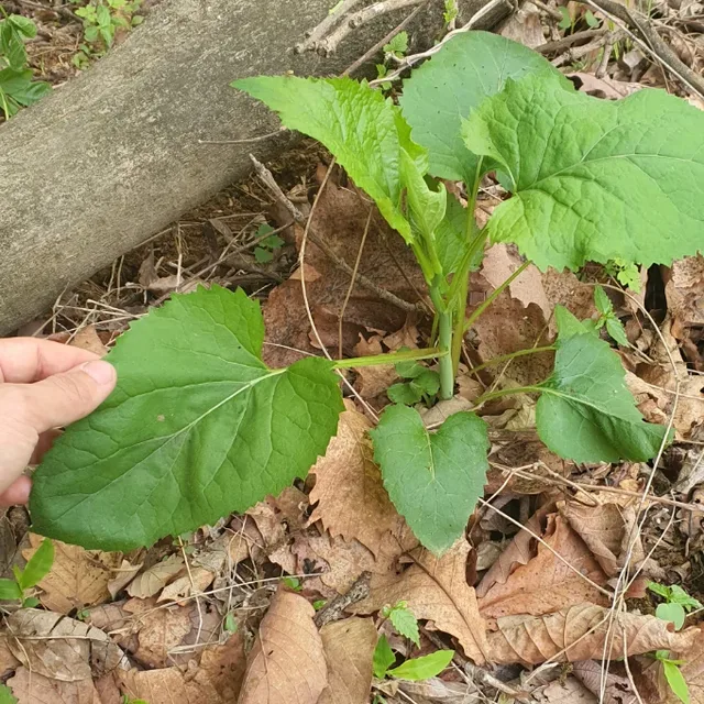 회천중앙로154