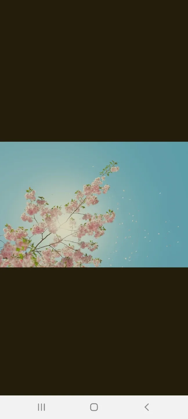 당린이화이팅