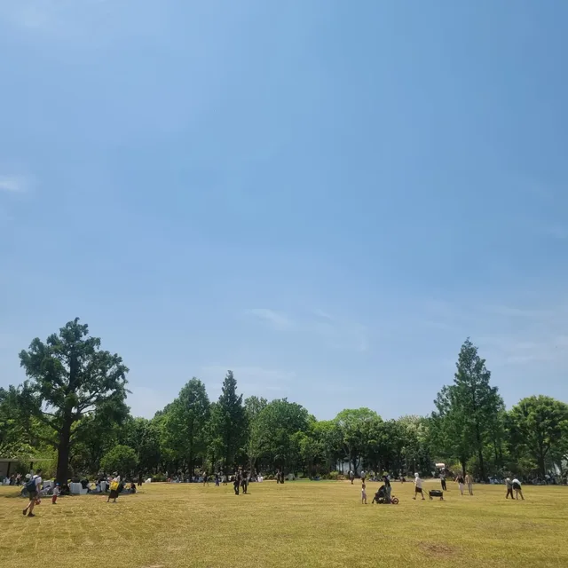 당근좋아욤