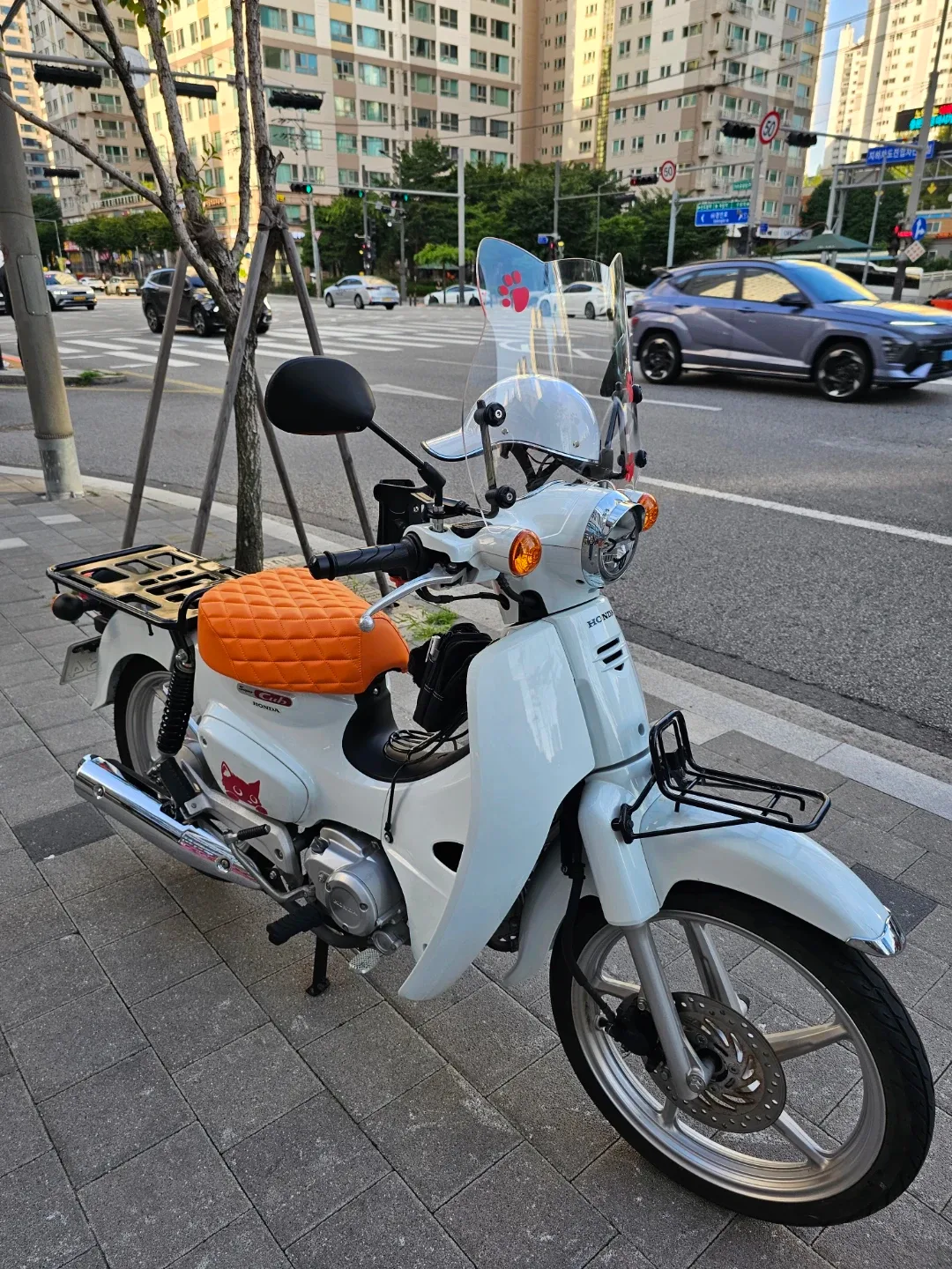 거상꿍이