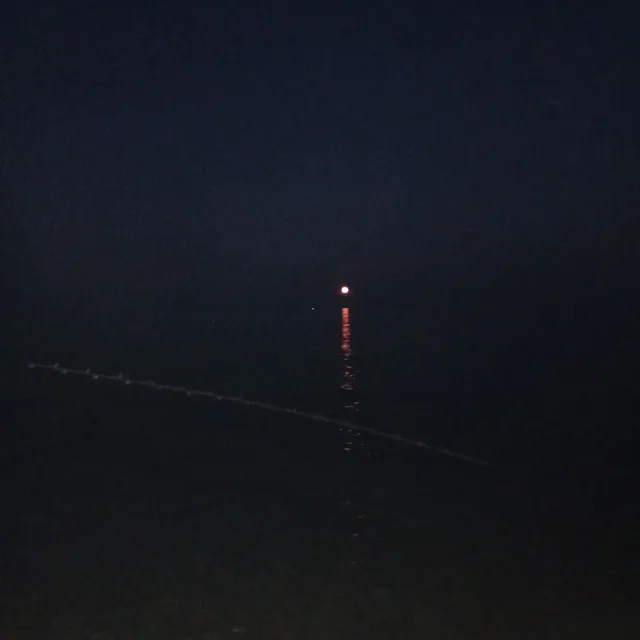 천하장사