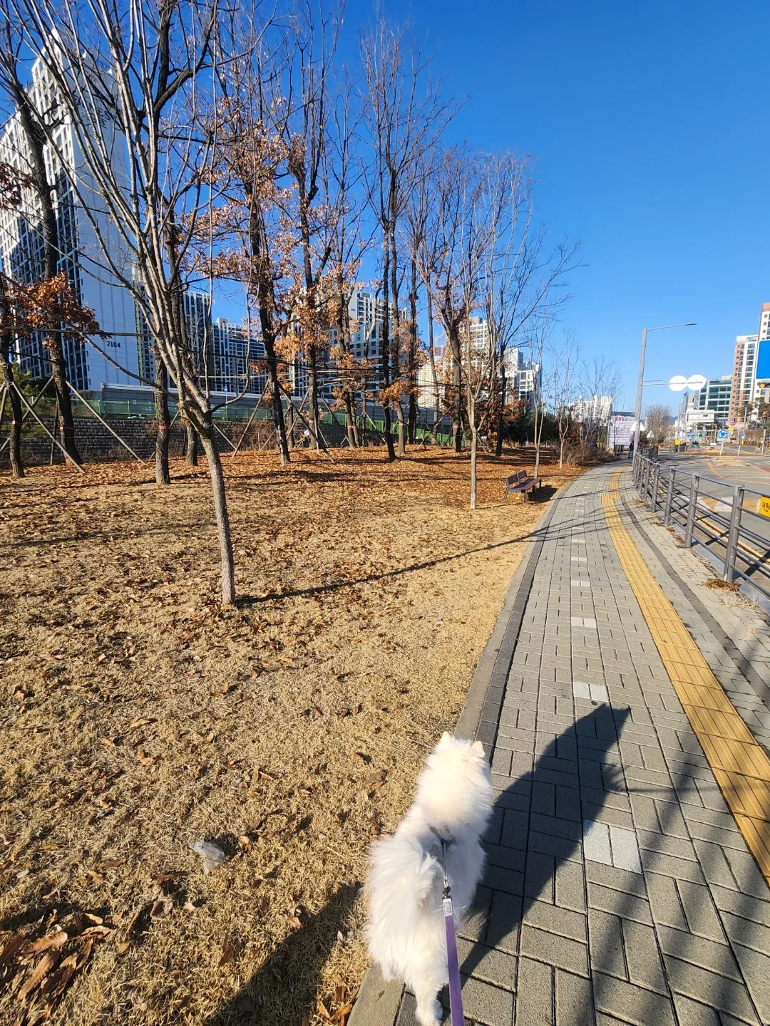 밍밍