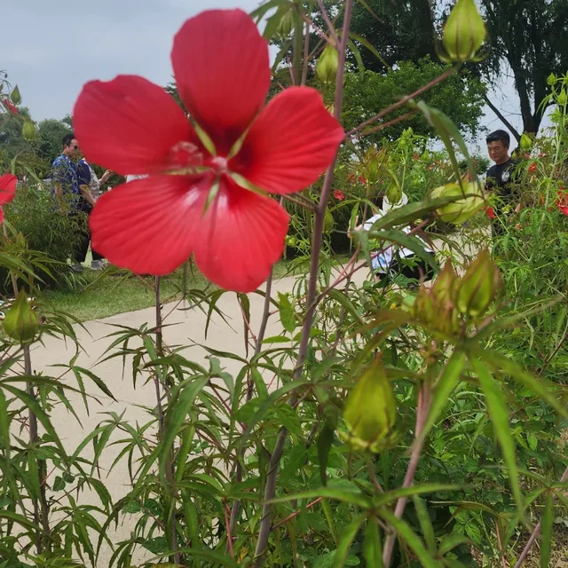 바다