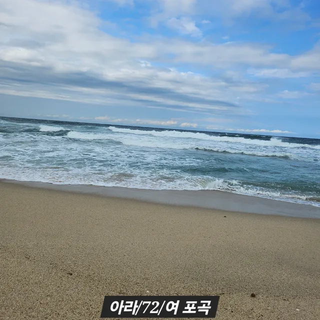 아라