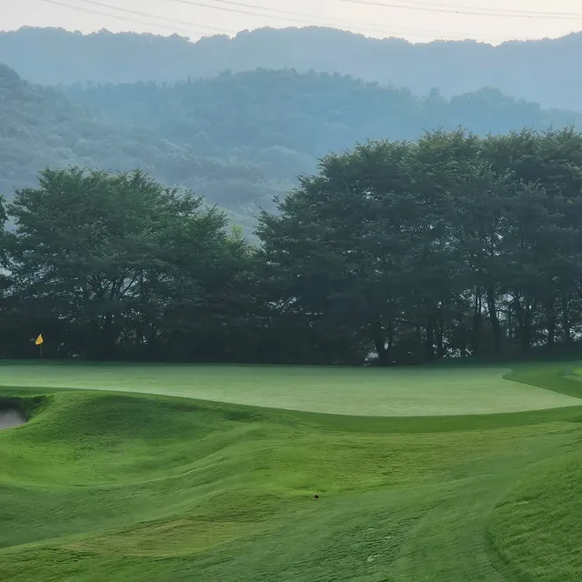 남해물고기