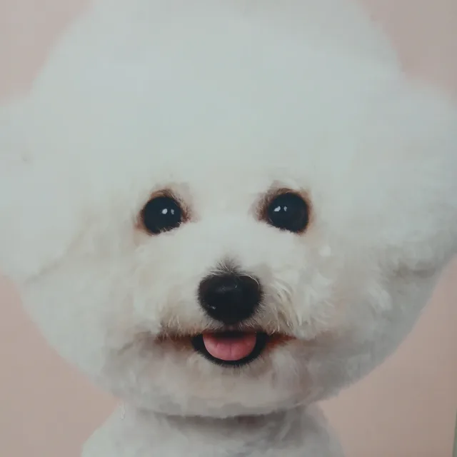 또치