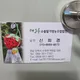 신희경