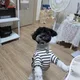 공실이