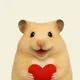 럭키