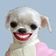 자상한사랑스러운봄