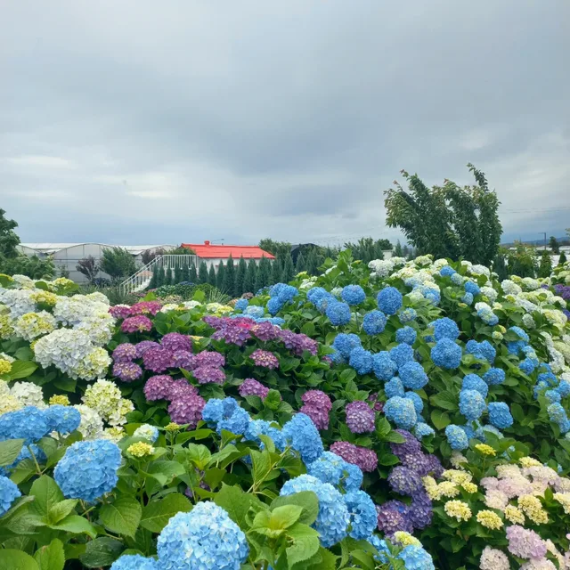 별셋