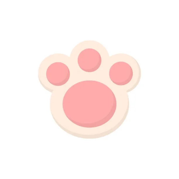 토끼발