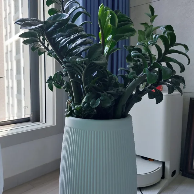 빵순이여라