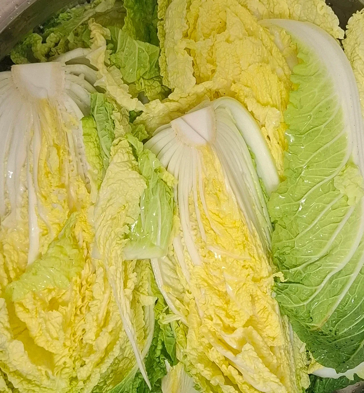 TR