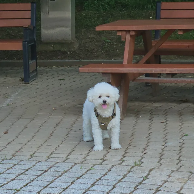 고맙습니다