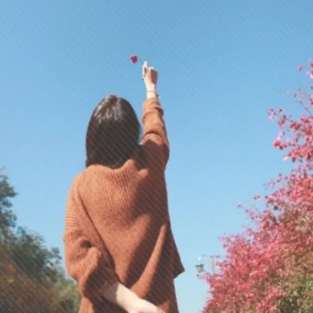 후회없이살자