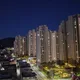 캐럿