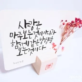 당근을좋아하는토끼
