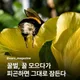 별이별이