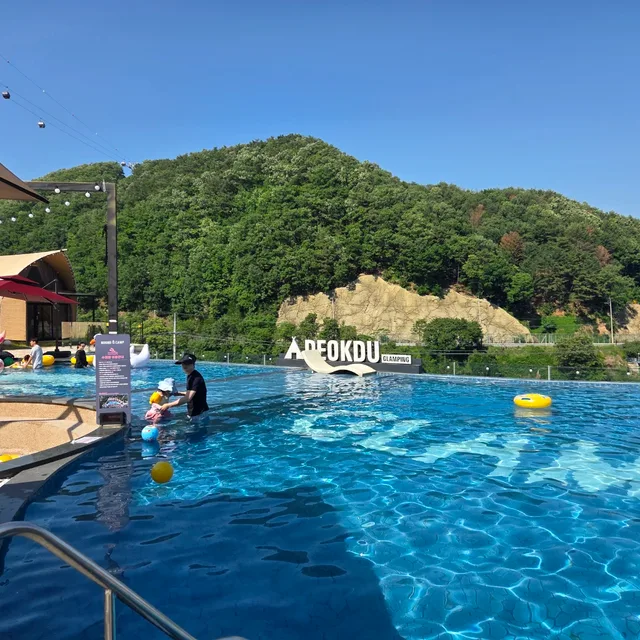소중한호랑이말