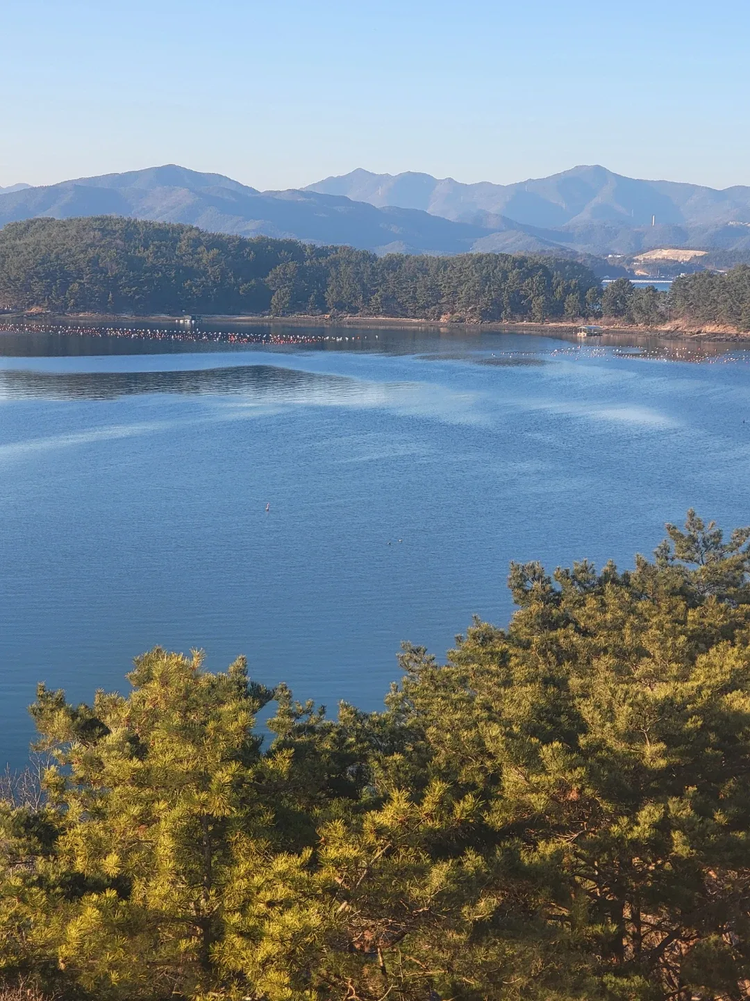 행복하자