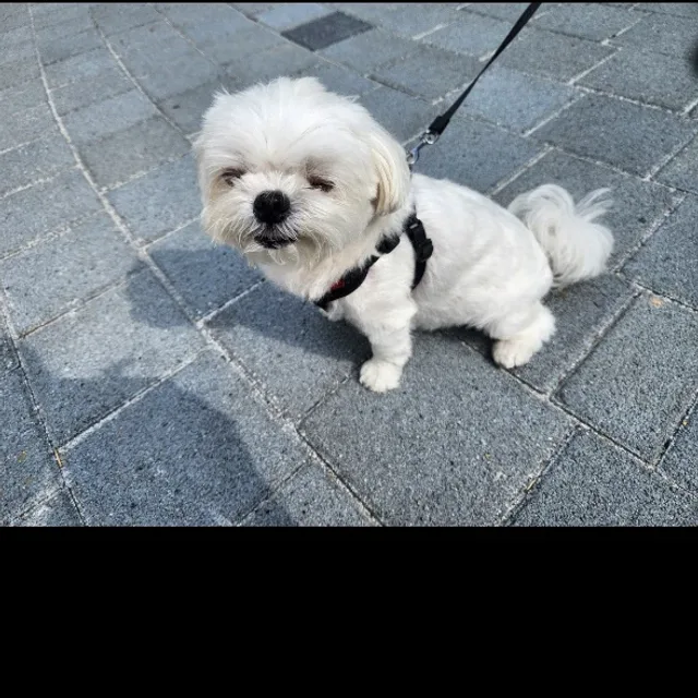 에트로