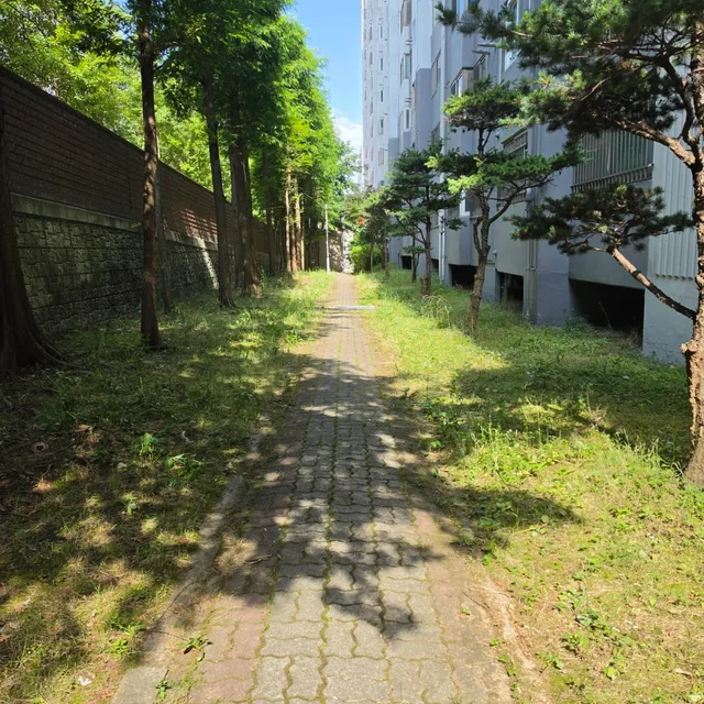 희망