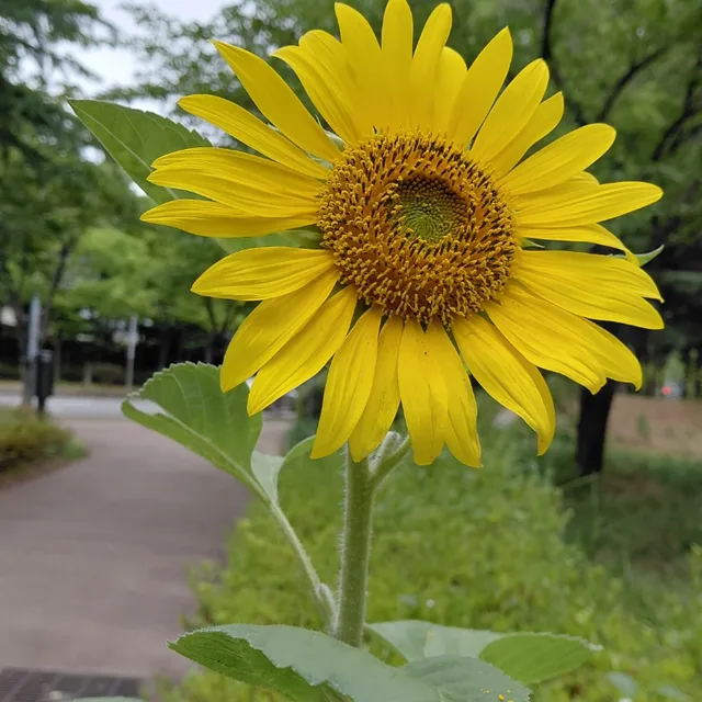 환이