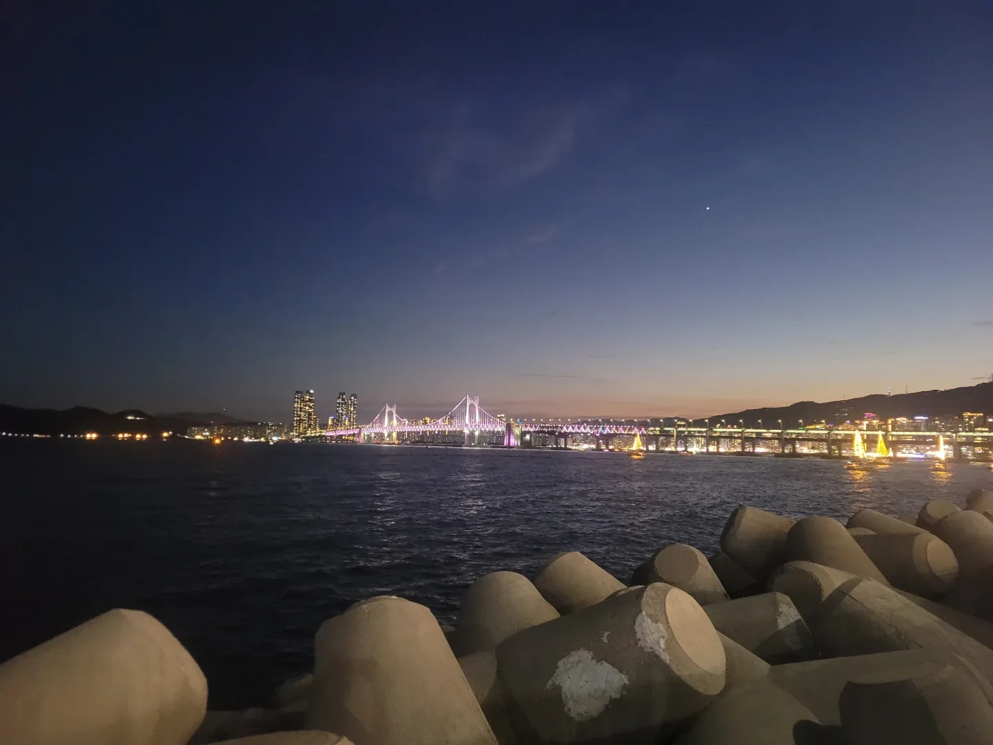 만능인